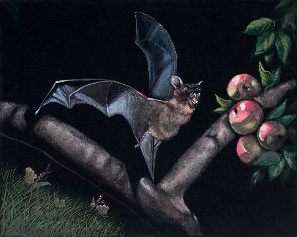bat with apples velvet painting